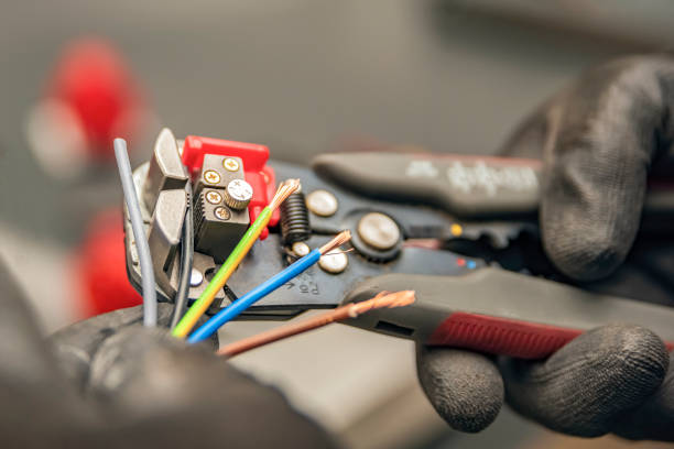 Best Licensed Electrician  in Bodfish, CA