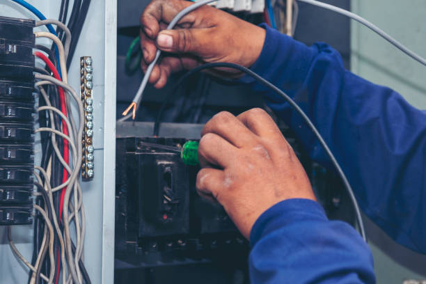 Best Ceiling Fan Installation Electrician  in Bodfish, CA
